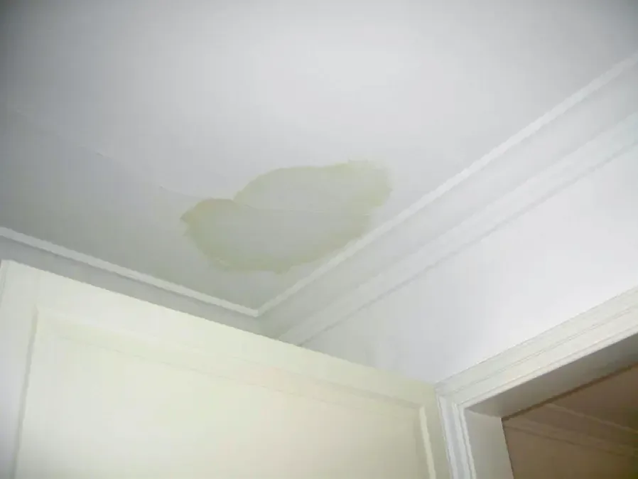 Water stain spreading over a white ceiling beside a crown molding corner